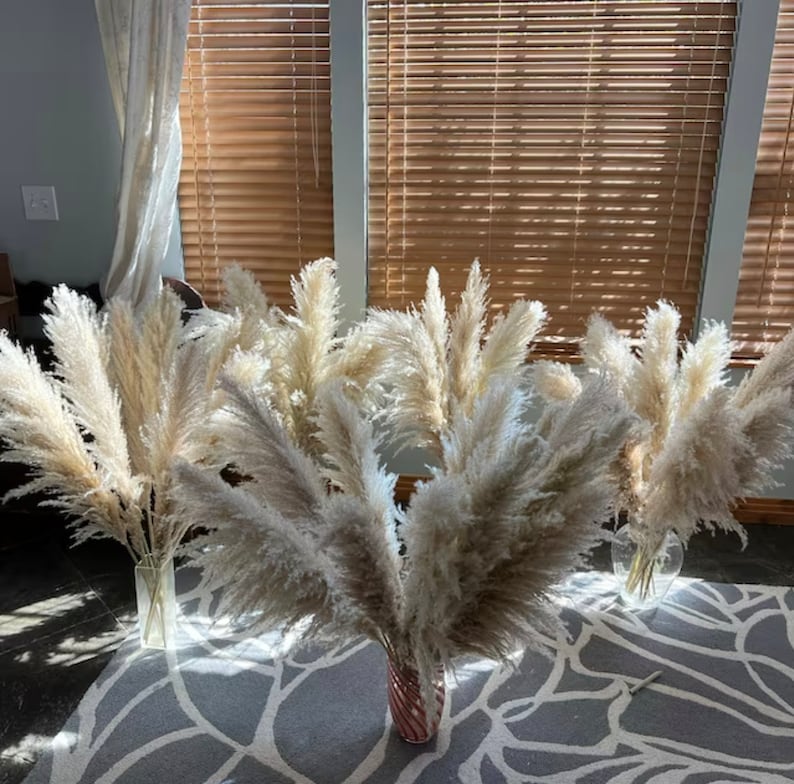 Large Pampas Grass uscat, calitate premium, pentru decoruri (+ O VAZǍ GRATUIT)