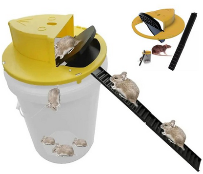 Capcana pentru Soareci - MOUSETRAP