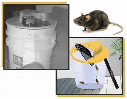 Capcana pentru Soareci - MOUSETRAP