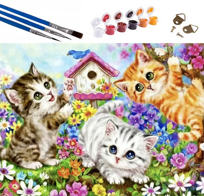 Set de pictură pe numere